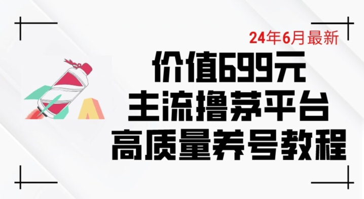 6月最新价值699的主流撸茅台平台精品养号下车攻略【揭秘】-小伟资源网