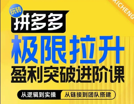 拼多多盈利突破全攻略：算法玩法+团队搭建，系统提升商家利润-小伟资源网