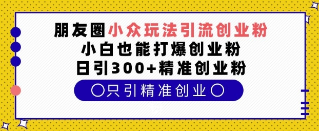 揭秘：朋友圈小众引流术，小白日增300+创业粉-小伟资源网