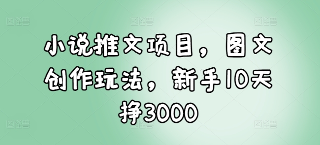 新手必看：10天内通过小说推文项目轻松赚取3000元的图文创作技巧分享-小伟资源网