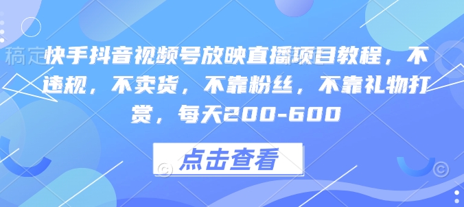 快手抖音视频号直播项目教程：无违规无卖货轻松日赚-小伟资源网