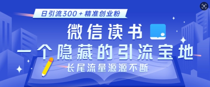 微信读书引流宝地：小众打法日引300+精准粉-小伟资源网