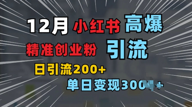 小红书图片引创业粉潮，单日精准获客 200 + 且可筛选付费意识者-小伟资源网