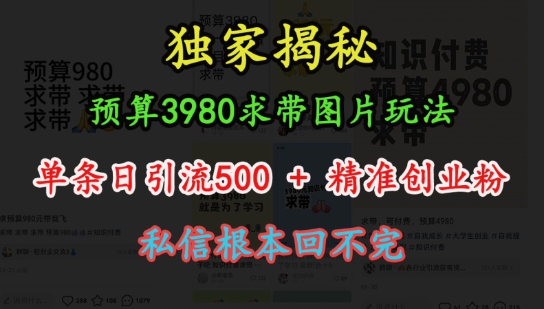 预算3980求带 图片玩法，单条日引流500+精准创业粉，私信根本回不完-小伟资源网