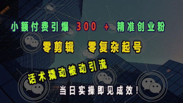 小额付费助力精准创业，零剪辑零复杂起号，话术引流实现快速见效-小伟资源网