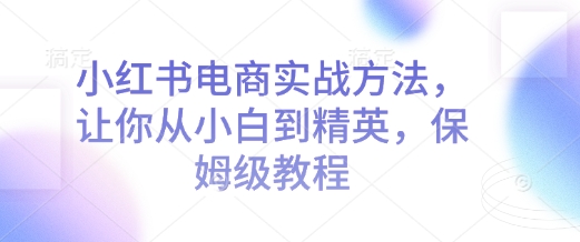 小红书电商进阶指南：小白变身精英的实战秘籍-小伟资源网