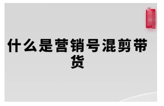 营销号混剪带货全解析：内容创作至流量变现攻略-小伟资源网