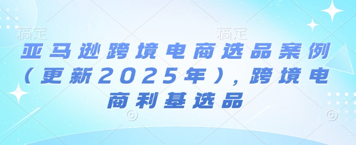 2025年亚马逊跨境电商选品策略分析：聚焦利基市场的成功案例分享-小伟资源网