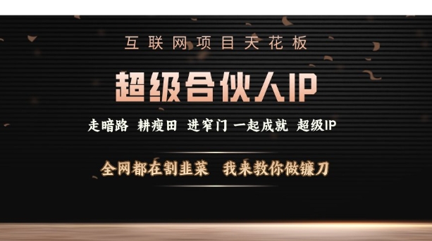 揭开互联网项目的真相：如何在超级合伙人IP时代掌握盈利秘诀，避免被割韭菜，成为成功的镰刀！-小伟资源网