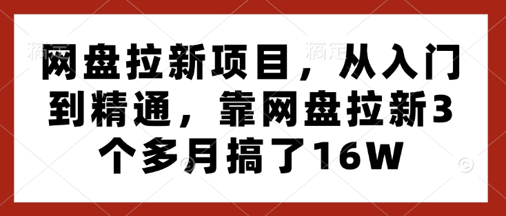 网盘拉新全攻略：三个月实现16万收益的实战经验分享-小伟资源网