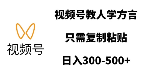 方言教学新潮流：视频号轻松复制粘贴，日赚丰厚收益-小伟资源网